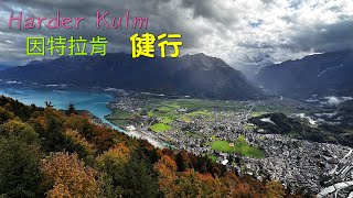 Harder Kulm 健行 20241013 [upl. by Zoila574]