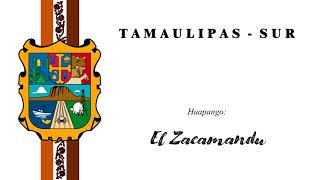 El Zacamandu  Huapango [upl. by Kyl369]