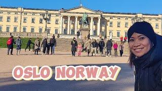 MINI CRUISE COPENHAGEN TO OSLO PART 2 🇧🇻 [upl. by Hanas]