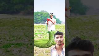 Dil hi chir ke Nikal Diya 🪔 comedy funny nagin emotional snake shorts [upl. by Rafa]