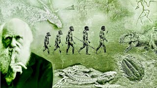 Evolution  What Darwin Never Knew  NOVA Full Documentary HD [upl. by Judah]