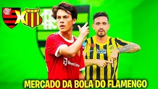 FLAMENGO X SAMPAIO CORREIA  NOTICIAS DO FLAMENGO [upl. by Oiceladni]