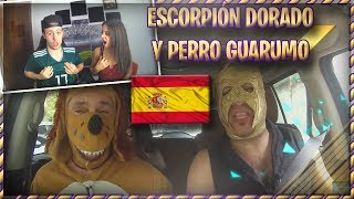 ESPAÑOLES REACCIONAN AL ESCORPION DORADO CON PERRO GUARUMO [upl. by Kcireddor]