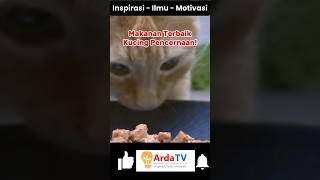 Makanan Terbaik untuk Kucing dengan Masalah Pencernaan Pilihan yang TepatKucingSehat kucing cat [upl. by Ecirtaed]