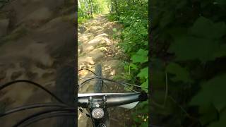 This was a 1st place run until… bike freeride freeridemtb mtb mountainbikeriding downhill [upl. by Ayerim391]