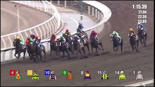 HK Horse Racing at Shatin  Race 5  09112024 prestonepie4395 [upl. by Grier783]