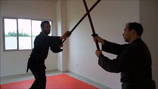 Bujinkan  Jojutsu [upl. by Westberg]