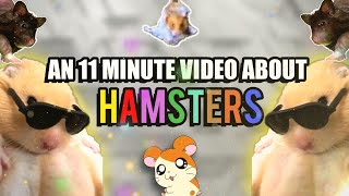 The Best Hamster Video You Will Ever Watch [upl. by Adnaluy]