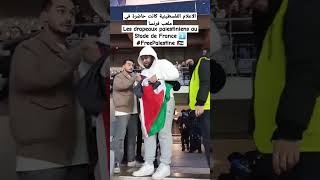 Les drapeaux palestiniens au StadedeFrance FreePalestine متداول الجزائر [upl. by Raybin]