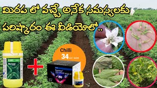 basf exponus insecticide  exponus basf insecticide  uses telugu  basf merivon fungicide [upl. by Dorr482]