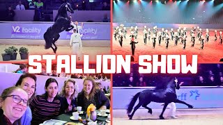 The KFPS stallion show 2024  With an amazing champion  Best of the world  Friesian Horses [upl. by Mientao]