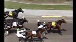 Elitloppet 1985  The Elimination Heats [upl. by Leinadnhoj963]