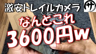 【衝撃映像】コスパ最強！Amazonで3600円で買った激安トレイルカメラの性能が凄すぎたｗｗｗ Cheap trail camera review [upl. by Arbrab543]