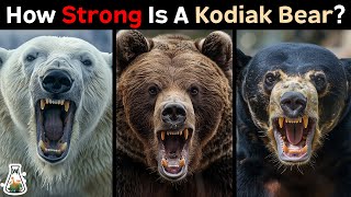 How Strong is a Kodiak Bear Compared to Other Bears [upl. by Noyk]