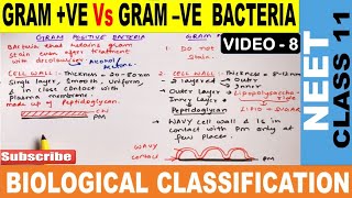 Gram Positive Vs Gram Negative Bacteria in Hindi  Biological Classification Class 11  NEET 202223 [upl. by Sane]