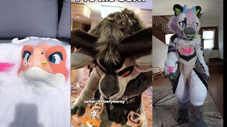 3245 Minutes Of Fursuit  TikTok Compilation  Funny Furry 🐻 3 [upl. by Eelyr]