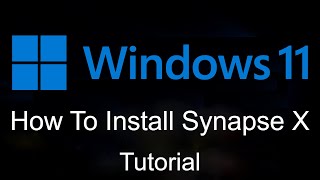 How To Install Synapse X On Your Windows 1011 [upl. by Gilson]