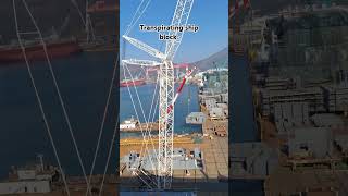 This is how transporting a ship block korea shipbuilding fyp foryou trending shorts [upl. by Towrey879]