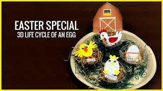 Easter Special  How To Make 3D Life Cycle Of An Egg [upl. by Nais]