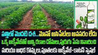 పత్తిCotton మెుదటిమోనో అసిఫేట్ లు అవసరం లేదు ఒక్క ఆక్సీవేజ్ తో అన్ని రకాల దోమలుపేను కొమ్మలుపూత [upl. by Einahets794]