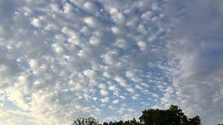 Altocumulus cloud hunting with Krissy P [upl. by Odlauso305]