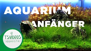 Aquaristik für Anfänger 2  Was brauche ich als Anfänger [upl. by Laoj]