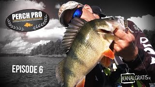 Perch Pro 2016  EPISODE 6  Kanalgratisse [upl. by Aneeras]