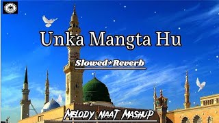 Unka Mangta Hu jo mangta nahi huny datynew naatslowedreverbMelody Naat Mashupiwhnaat [upl. by Marthe721]