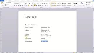 Einfacher tabellarischer Lebenslauf in Word [upl. by Adham]