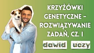 Krzyżówki genetyczne  rozwiązywanie zadań część 1 [upl. by Ainsworth]