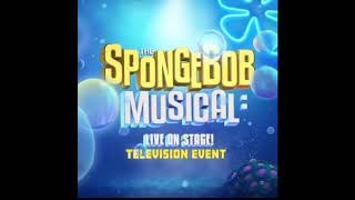 Spongebob Squarepants Theme Song  The Spongebob Musical  LIVE on Stage [upl. by Alyakcim]