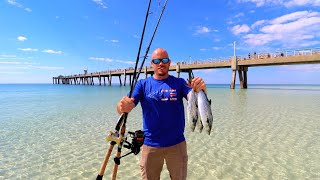 Eating Whatever I Catch Under this Saltwater Pier [upl. by Cogswell]