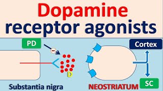 Dopamine receptor agonists for Parkinson Disease PD [upl. by Bartholomeo838]