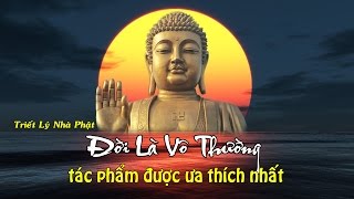 ĐỜI LÀ VÔ THƯỜNG  Nghe Để Giác Ngộ Bớt Khổ Trong Cuộc Sống [upl. by Roinuj]