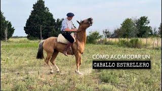 ⚠️❌ CÓMO ACOMODAR CABALLO ESTRELLERO SIN BAJADORES NI MARTINGALAS ⚠️❌ [upl. by Myrtice]