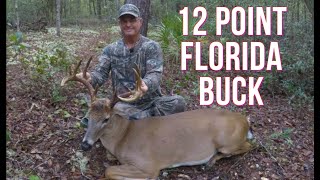 Hunting For A Big North Florida Buck [upl. by Heller]