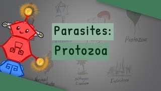 Parasites Protozoa classification structure life cycle [upl. by Winther879]