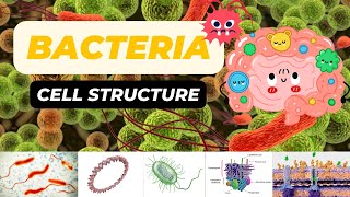 Bacterial Cell Structure [upl. by Ykcul]