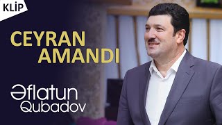 Eflatun Qubadov  Ceyran Amandi Official Klip [upl. by Aixela]