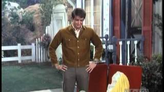 Petticoat Junction  Steves New Job  Part 7  S6 E17 [upl. by Eirrol]