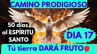 DIA 17🔥 CAMINO PRODIGIOSO 50 días al Espíritu SantoTu tierra DARÁ FRUTO 🔥 [upl. by Skipton]