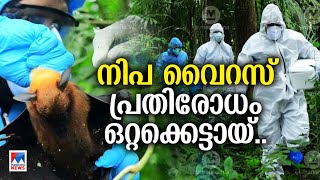 നിപ ജാഗ്രത എവിടെവരെ  പ്രതിരോധിക്കാം ഒറ്റക്കെട്ടായ്  Nipah VirusKerala RainHealth  Prevention [upl. by Shute717]