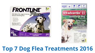 7 Best Dog Flea Treatments 2016 [upl. by Enirbas]