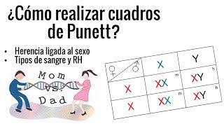 ¿Cómo realizar cuadros de Punett [upl. by Ajam]