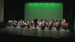 Danse Macabre Saint Saens String Orchestra [upl. by Friday]