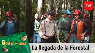 La llegada de la forestal  Oro verde  T1E1 [upl. by Femi716]