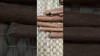 cinnamon vs cassia shorts bestfoodvideos cinnamon food spices cookingclass recipe [upl. by Ylrevaw]