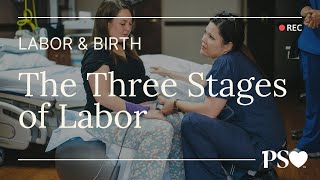 The 3 Stages of Labor A Guide for FirstTime Moms [upl. by Yerhcaz841]