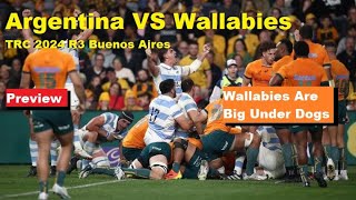 Preview Argentina VS Wallabies The Rugby Championship 2024 R3 Lineup Analysis Predictions News [upl. by Ayahc]