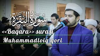 MuhammadloiqQori BAQARA SURASI  MUHAMMADLOIQ QORI  GO‘ZAL QIROAT [upl. by Ware]